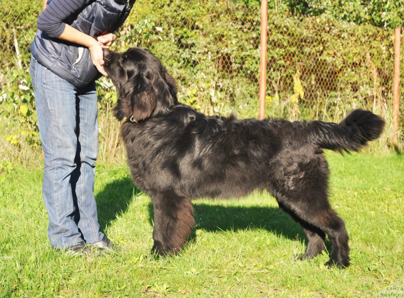 Фотография № 163071