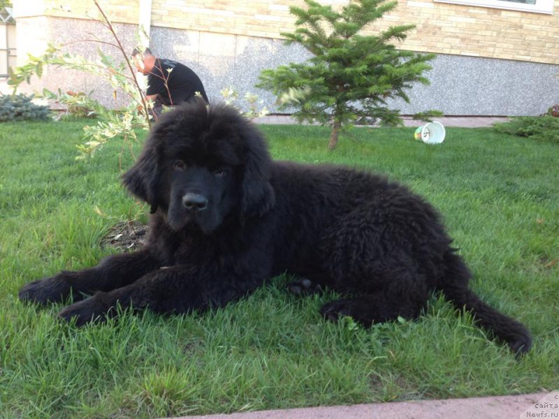 Фотография № 163073