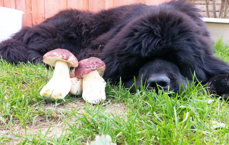 Фотография № 163099