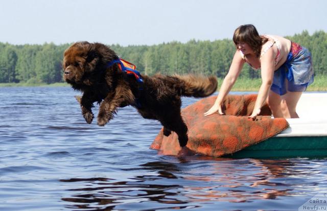 Фотография № 16310