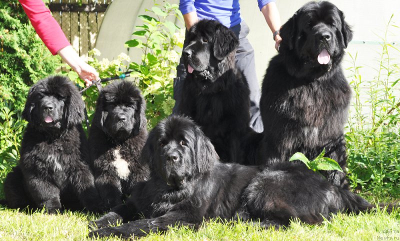 Фотография № 163100