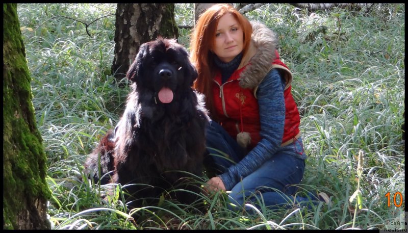 Фотография № 163102