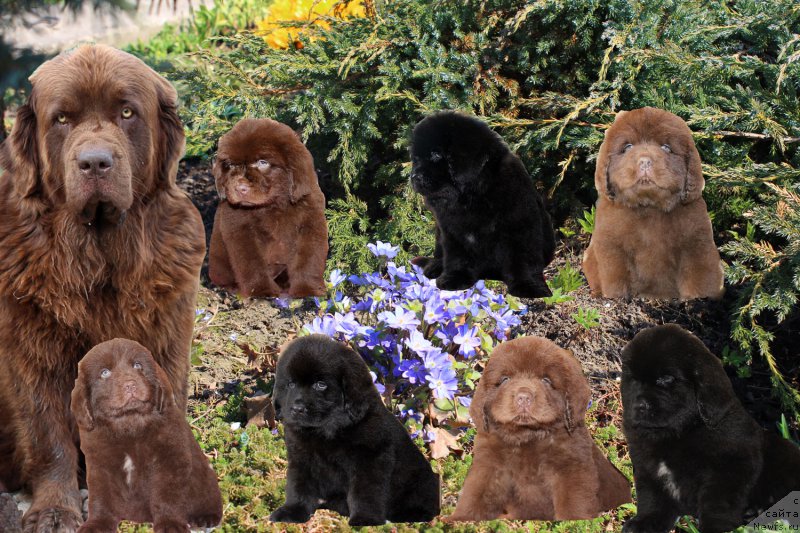 Фотография № 163189