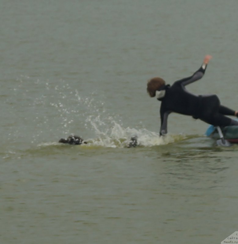 Фотография № 163223