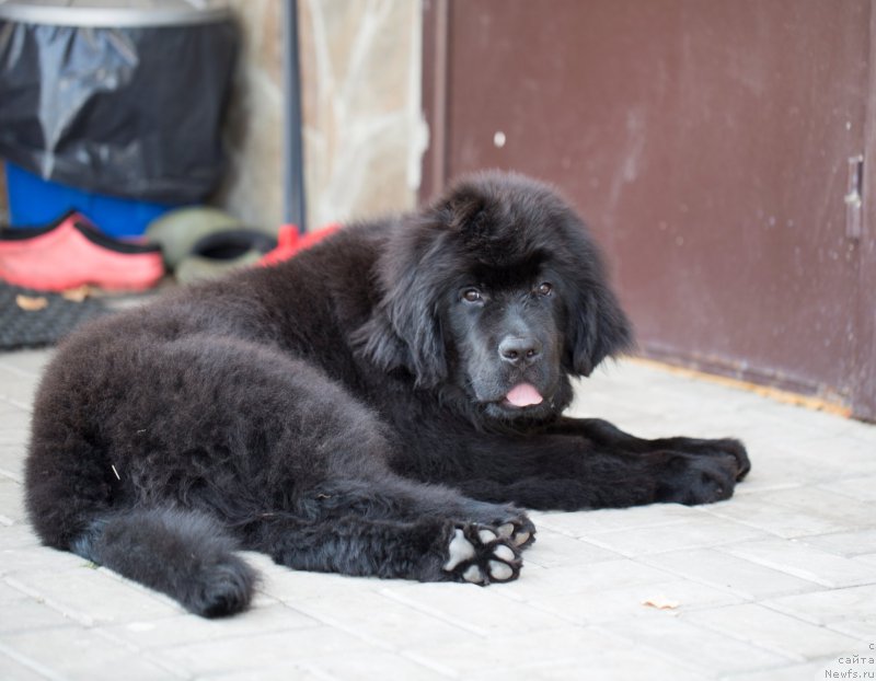 Фотография № 163236