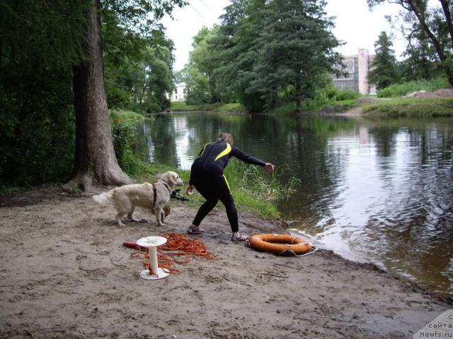 Фотография № 16325