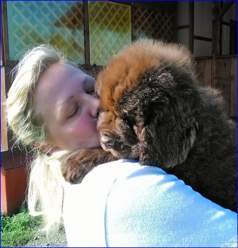 Фотография № 163263