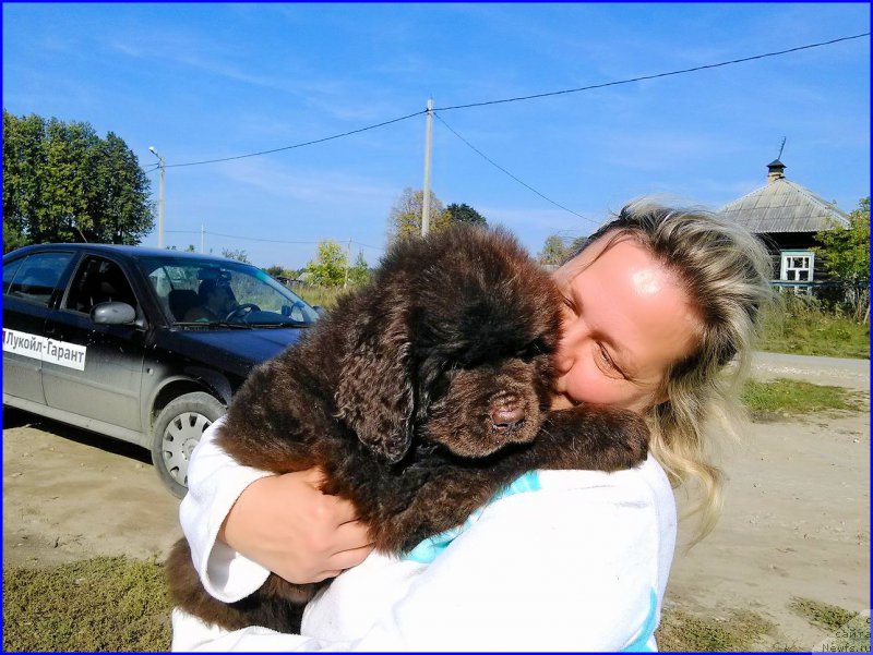 Фотография № 163264