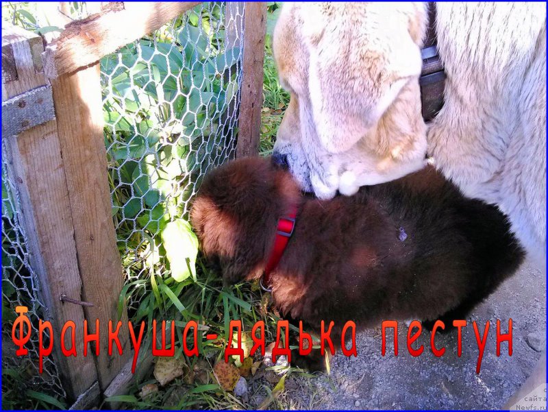 Фотография № 163268