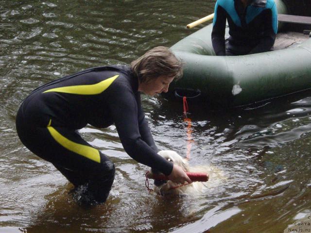 Фотография № 16327