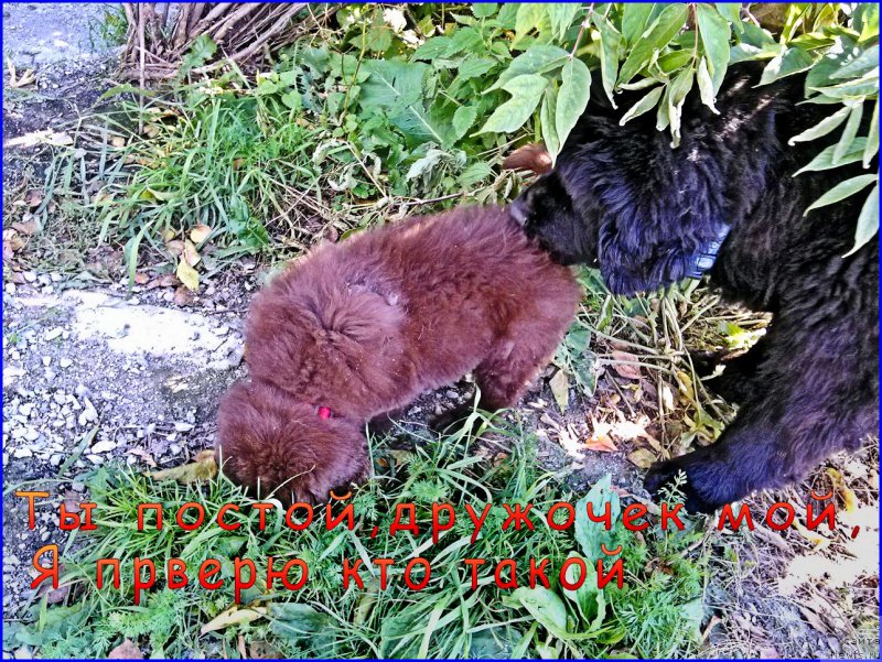 Фотография № 163277