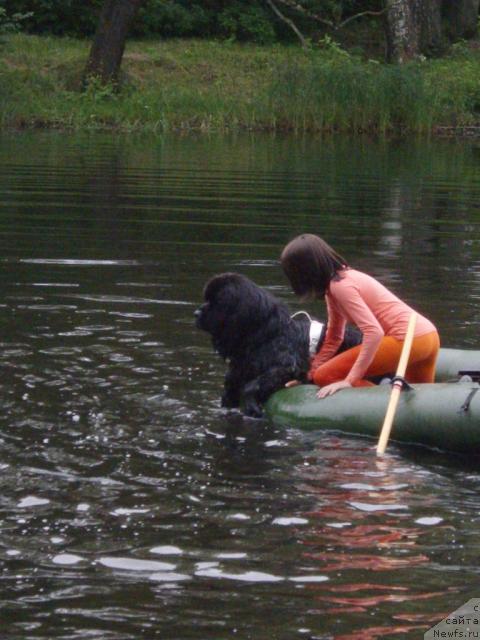 Фотография № 16330