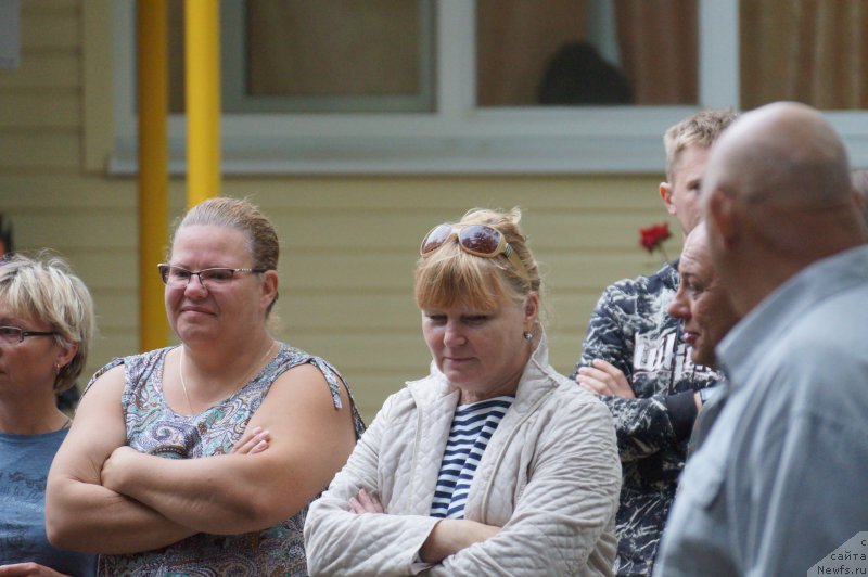 Фотография № 163344