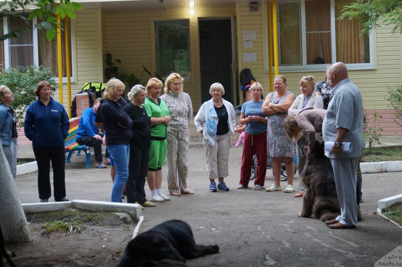 Фотография № 163345