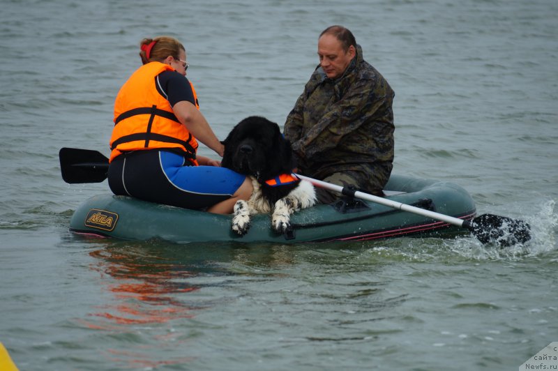 Фотография № 163348