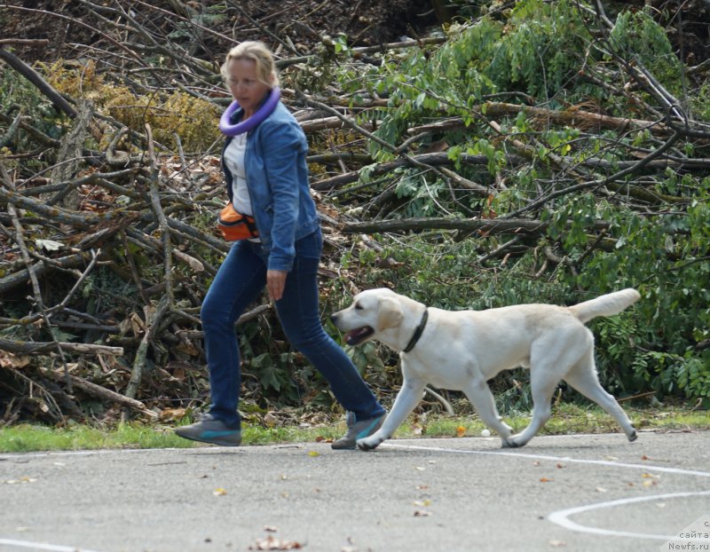 Фотография № 163351