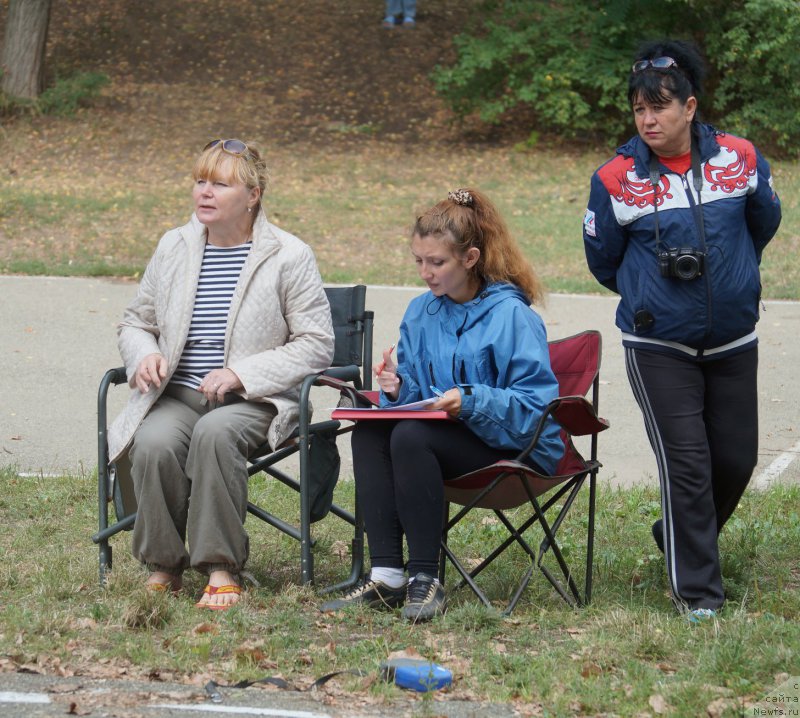 Фотография № 163354