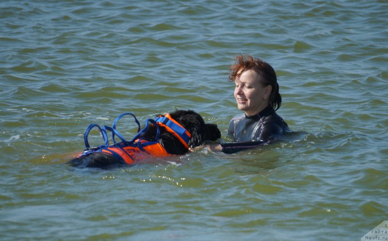 Фотография № 163357