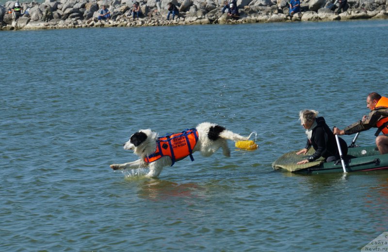 Фотография № 163358