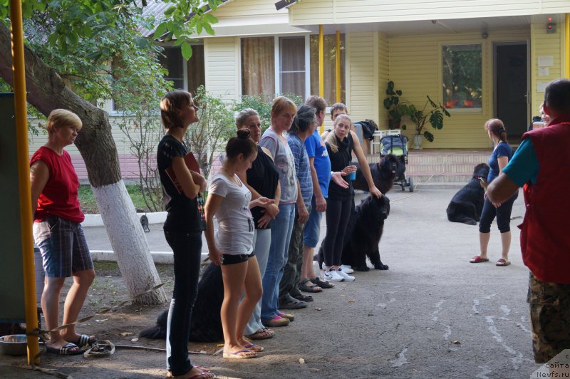 Фотография № 163359