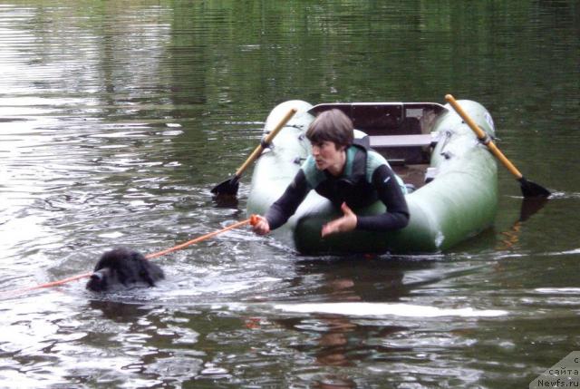 Фотография № 16336