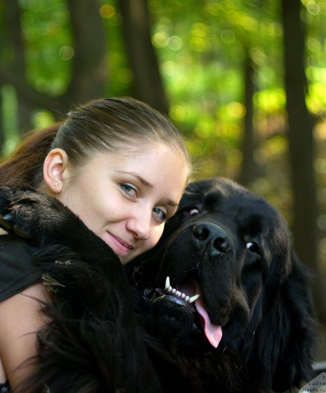 Фотография № 163365