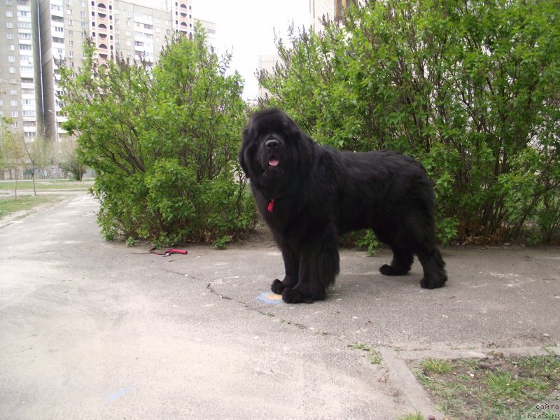 Фотография № 163369