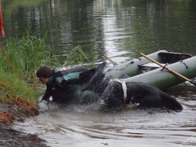 Фотография № 16338