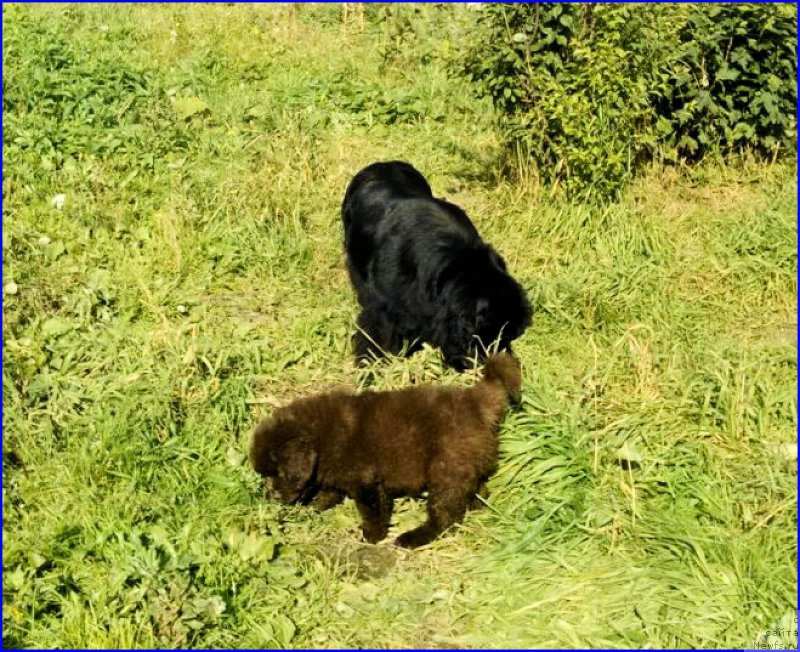 Фотография № 163429