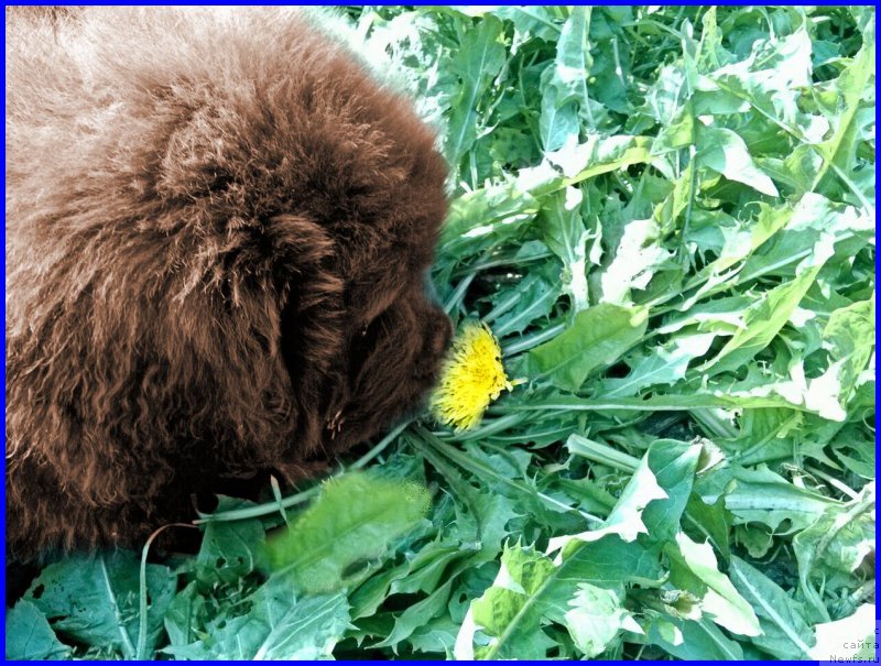 Фотография № 163433