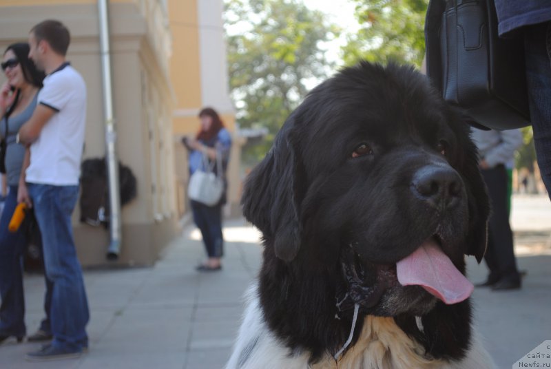 Фотография № 163442