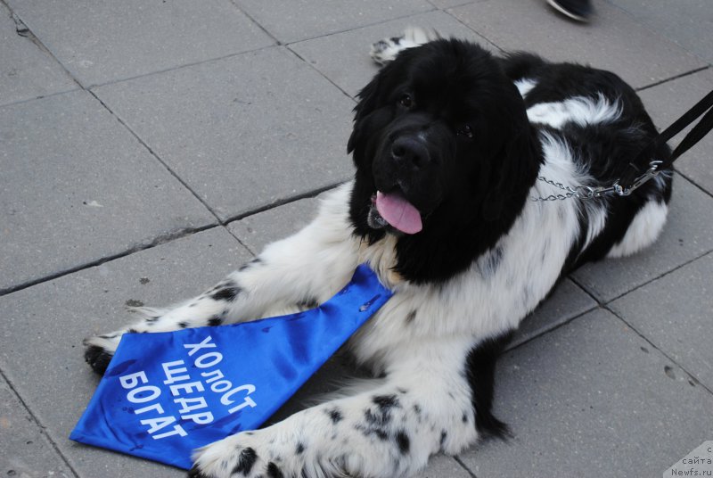 Фотография № 163443