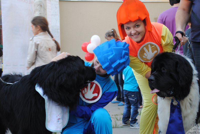 Фотография № 163445