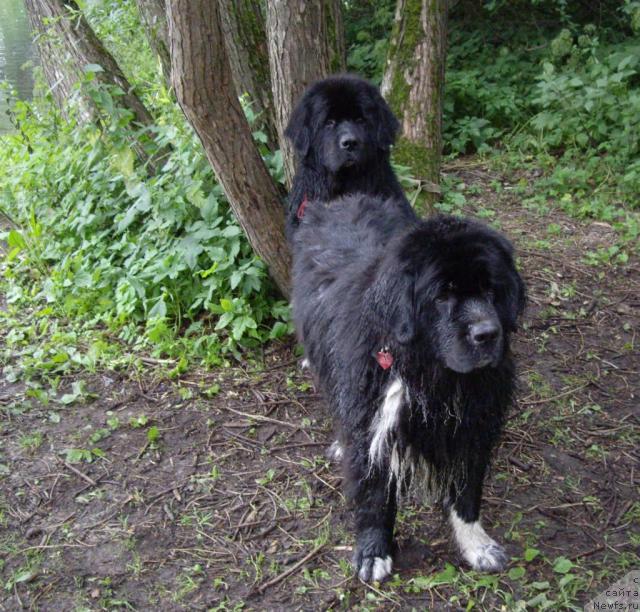 Фотография № 16345