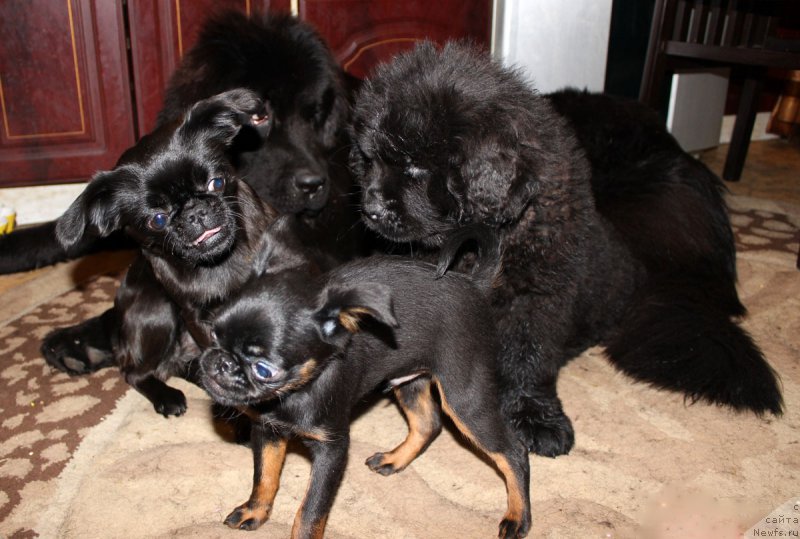 Фотография № 163455