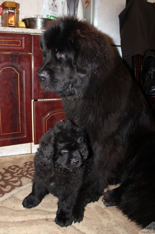 Фотография № 163456