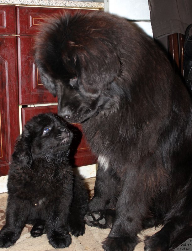 Фотография № 163457