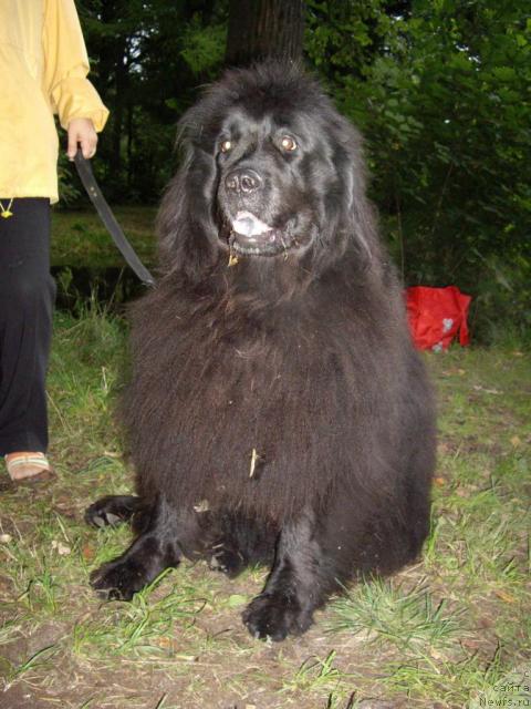 Фотография № 16346