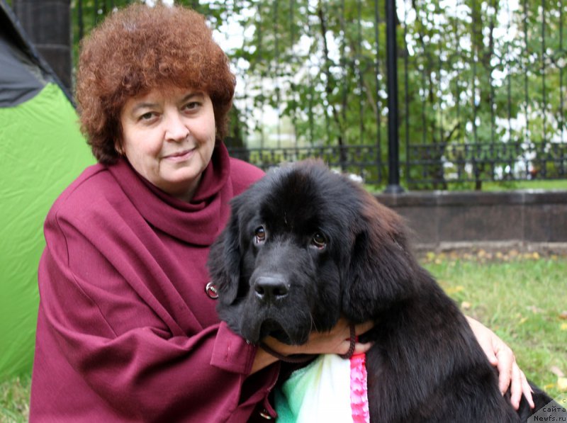 Фотография № 163460