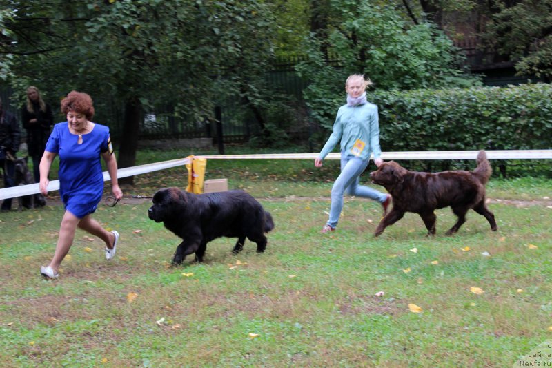 Фотография № 163461