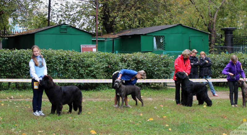 Фотография № 163462