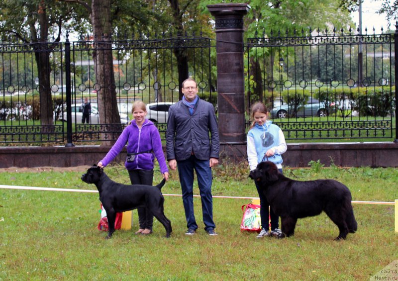 Фотография № 163464