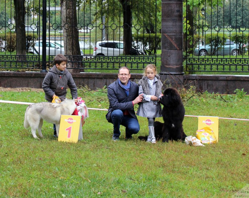 Фотография № 163465