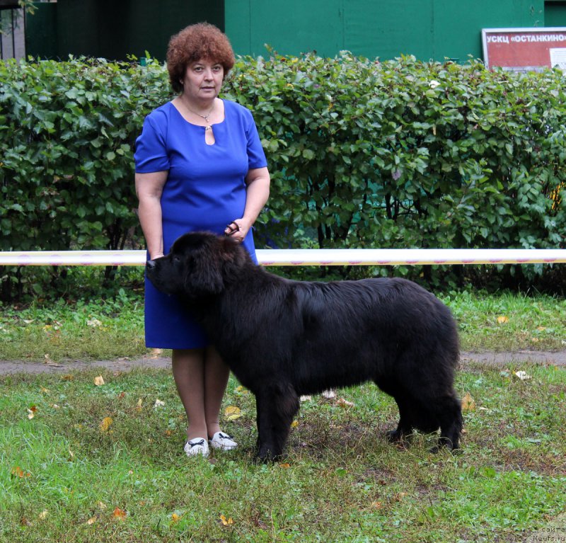 Фотография № 163466