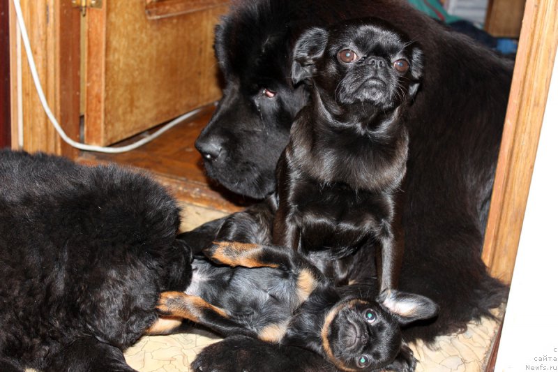 Фотография № 163468