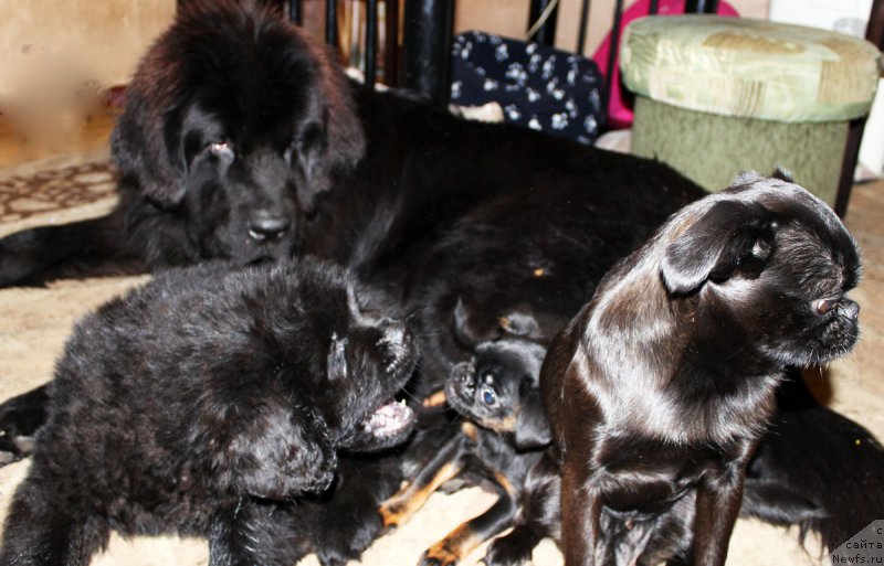 Фотография № 163469