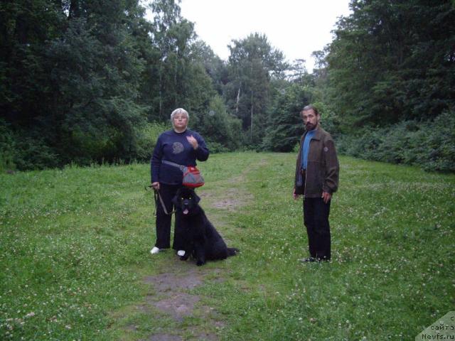 Фотография № 16347