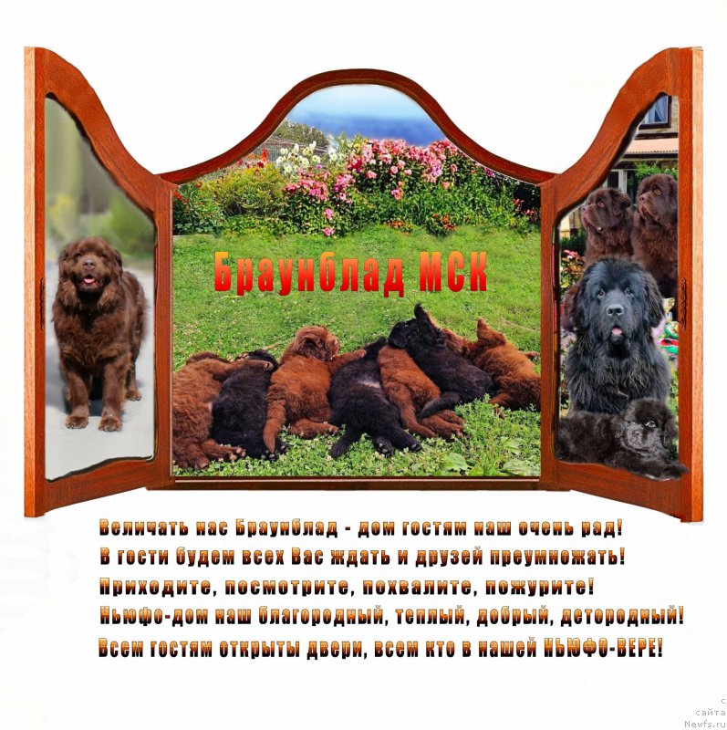 Фотография № 163470