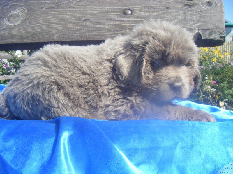 Фотография № 163481