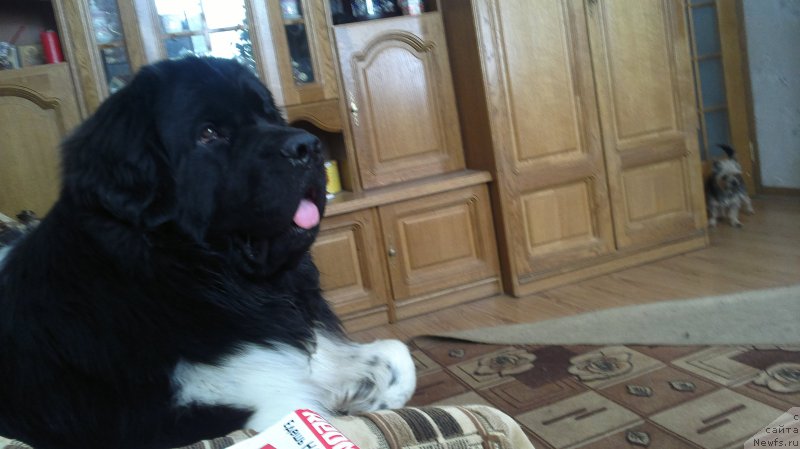 Фотография № 163483